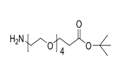 H2N-PEG4-tBu