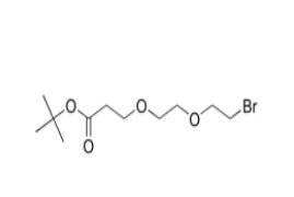 Bromo-PEG2-t-butyl ester