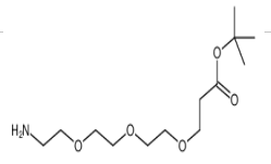H2N-PEG3-CH2CH2COOtBu 