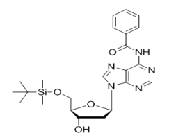 N6-Bz-5′-O-TBS dA