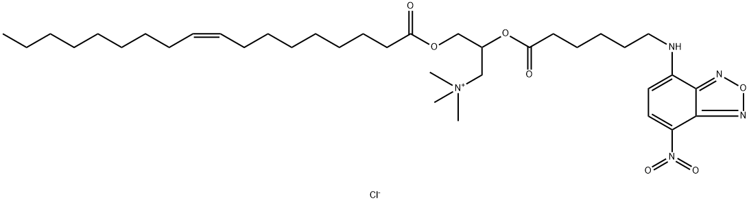 FLUORESCENT DOTAP