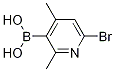 6-BROMO-2,4-DIMETHYLPYRIDINE-3-BORONIC ACID