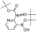 2-TERT-BUTYLOXYCARBONYLAMINOPYRIDINE-3-BORONIC ACID PINACOL ESTER