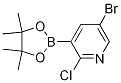 5-BROMO-2-CHLORO-3-(4,4,5,5-TETRAMETHYL-[1,3,2]-DIOXABOROLAN-2-YL)PYRIDINE
