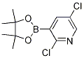 2,5-DICHLORO-3-(4,4,5,5-TETRAMETHYL-[1,3,2]-DIOXABOROLAN-2-YL)PYRIDINE