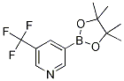 5-Trifluoromethylpyridine-3-boronic acid pinacol ester