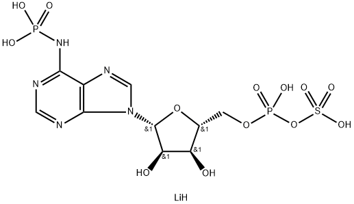 ADENOSINE 3'-PHOSPHATE 5'-PHOSPHOSULFATE  LITHIUM