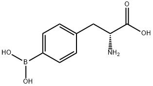 4-BORONO-D-PHENYLALANINE B10 ENRICHED