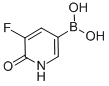 5-fluoro-6-hydroxypyridin-3-ylboronic acid