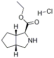 (1S,3aR,6aS)-Octahydrocyclopenta[c]pyrrole-1-carboxylic acid ethyl ester hydrochloride