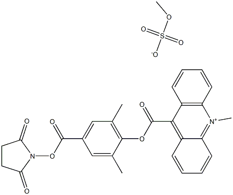 6'-Dimethyl-4'-(N-succinimidyloxycarbonyl)phenyl-10-methyl-acridinium-9-carboxylate methosulfate (DMAE-NHS)