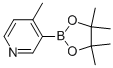 4-methyl-3-(4,4,5,5-tetramethyl-1,3,2-dioxaborolan-2-yl)pyridine
