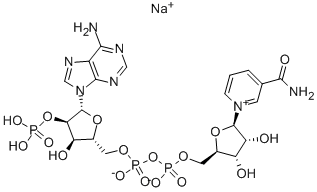 BETA-NICOTINAMIDE ADENINE DINUCLEOTIDE PHOSPHATE SODIUM SALT