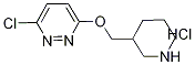 3-Chloro-6-(piperidin-3-ylMethoxy)-pyridazine hydrochloride