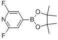 2,6-Difluoro-4-(4,4,5,5-tetramethyl-1,3,2-dioxaborolan-2-yl)pyridine