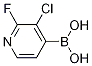 3-Chloro-2-fluoropyridine-4-boronic acid