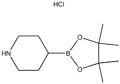 Piperidine-4-boronic acid pinacol ester HCl