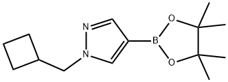 1-(cyclobutylmethyl)-4-(4,4,5,5-tetramethyl-1,3,2-dioxaborolan-2-yl)-1H-pyrazole