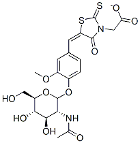 5-(4-(2-acetamido-2-deoxyglucopyranosyloxy)-3-methoxyphenylmethylene)-2-thioxothiazolidin-4-one-3-ethanoate