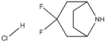 3,3-Difluoro-8-azabicyclo[3.2.1]octane hydrochloride