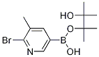 2-BROMO-3-METHYLPYRIDINE-5-BORONIC ACID PINACOL ESTER
