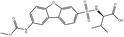 MMP-12 Inhibitor