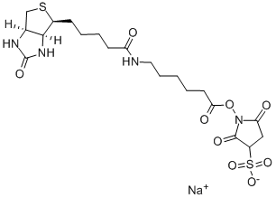 SULPHOSUCCINIMIDYL-6-(BIOTINAMIDO)HEXANOATE