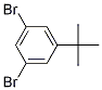 1,3-DIBROMO-5-TERT-BUTYLBENZENE
