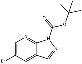 1-Boc-5-broMo-1H-pyrazolo[3,4-b]pyridine