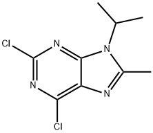 2,6-Dichloro-9-isopropyl-8-Methyl-9H-purine