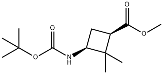 Methyl cis-3-(Boc-aMino)-2,2-diMethylcyclobutanecarboxylate