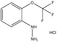 1-(2-(trifluoromethoxy)phenyl)hydrazine(HCl)