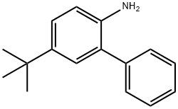 5-(1,1-Dimethylethyl)[1,1'-biphenyl]-2-amine