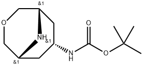 endo-7-(Boc-aMino)-3-oxa-9-aza-bicyclo[3.3.1]nonane
