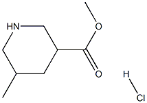 Methyl 5-Methylpiperidine-3-carboxylate hydrochloride