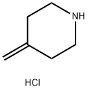 4-Methylenepiperidine HCl