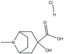 3-Hydroxy-8-methyl-8-azabicyclo[3.2.1]octane-3-carboxylic acid hydrochloride