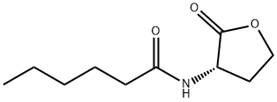 N-hexanoyl-L-homoserine lactone