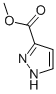 Methyl Pyrazole-3-carboxylate