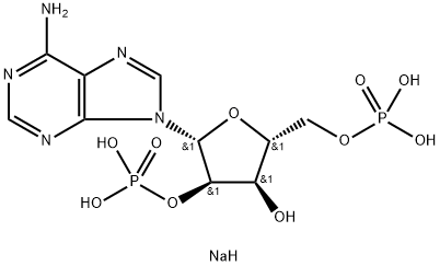 2′-Phosphoadenosine 5′-phosphate sodium salt
