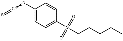 SALOR-INT L308439-1EA