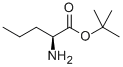 L-NORVALINE T-BUTYL ESTER