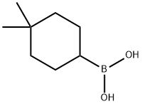 (4,4-dimethylcyclohexyl)boronic acid