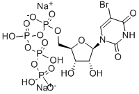 5-BROMOURIDINE 5'-TRIPHOSPHATE SODIUM
