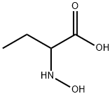 2-HYDROXYAMINO-BUTYRIC ACID