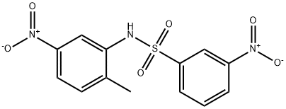 N-(2-methyl-5-nitrophenyl)-3-nitrobenzenesulfonamide