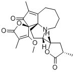 ProtosteMotinine
