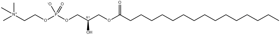1-PALMITOYL-SN-GLYCERO-3-PHOSPHOCHOLINE