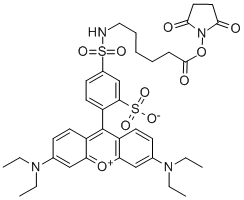 Dy-560 NHS ester