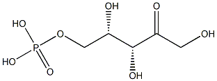 L-Xylulose 5-phosphate